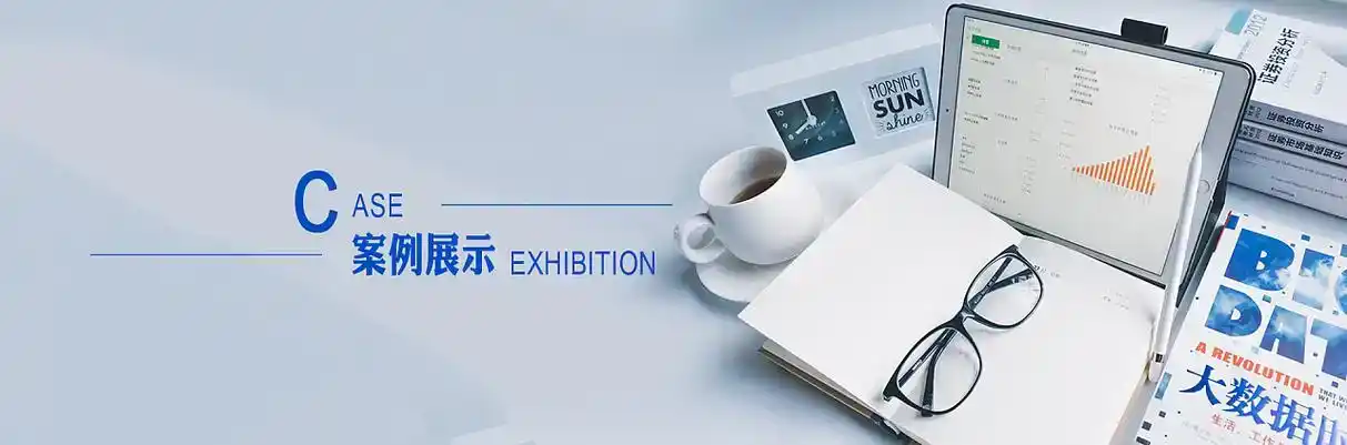 东至县软件开发